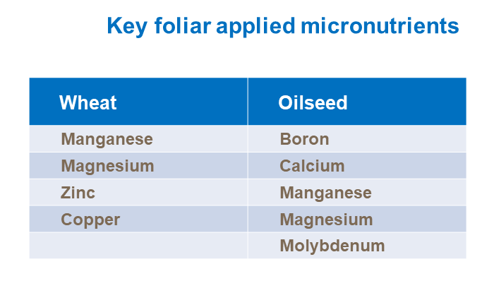 Key foliar applied micronutrient in wheat and oilseed