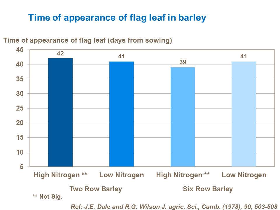 time-of-appearance-of-flag-leaf-in-barley.png