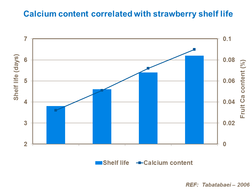Calcium content correlated with strawberry shelf life
