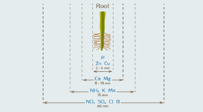 fertilizer placement - web.png