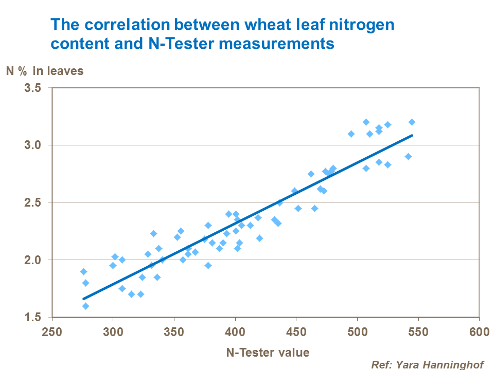 Correlation between wheat leaf nitrogen content