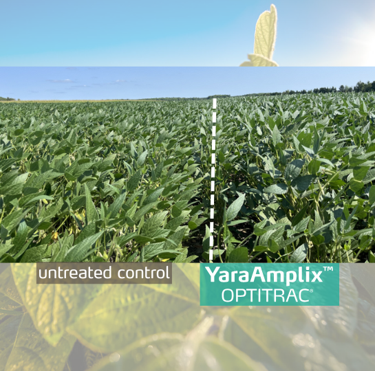 optitract trial on soybeans