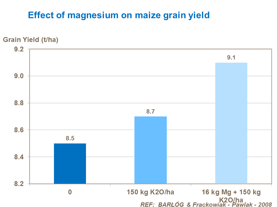 Effect of magnesium on maize grain yield