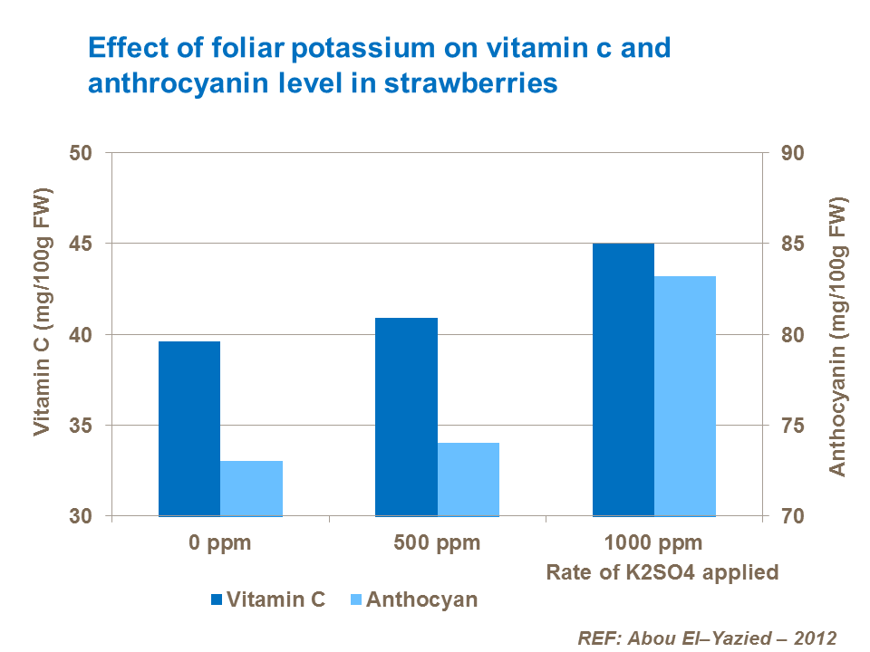 Effect of foliar potassium on vitamin c and anthrocyanin level in strawberries