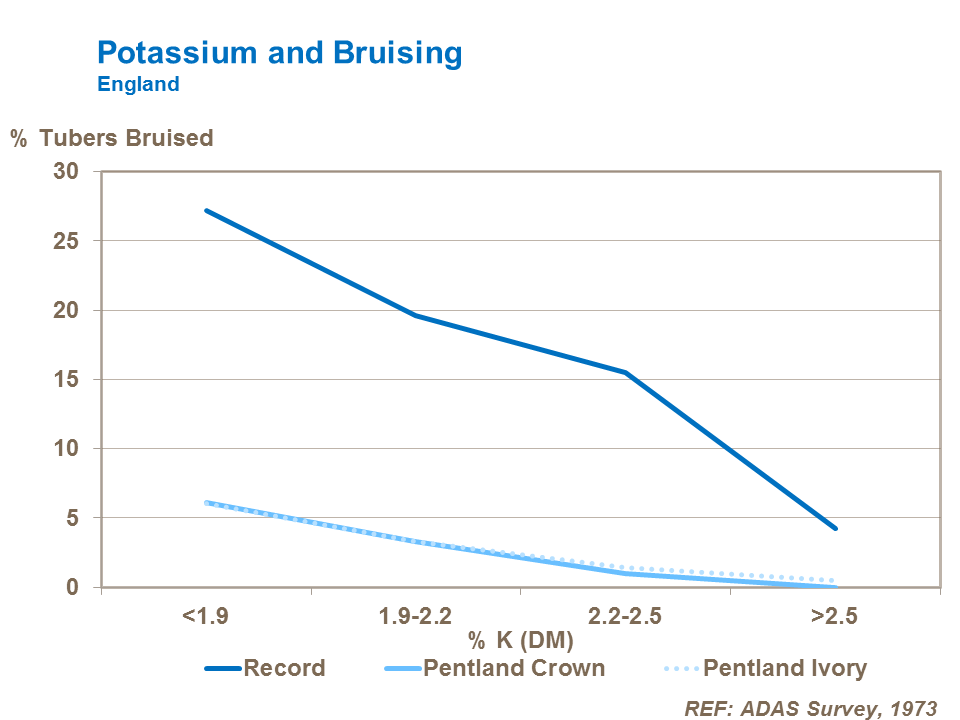 Effect of potassium on potato tuber bruising