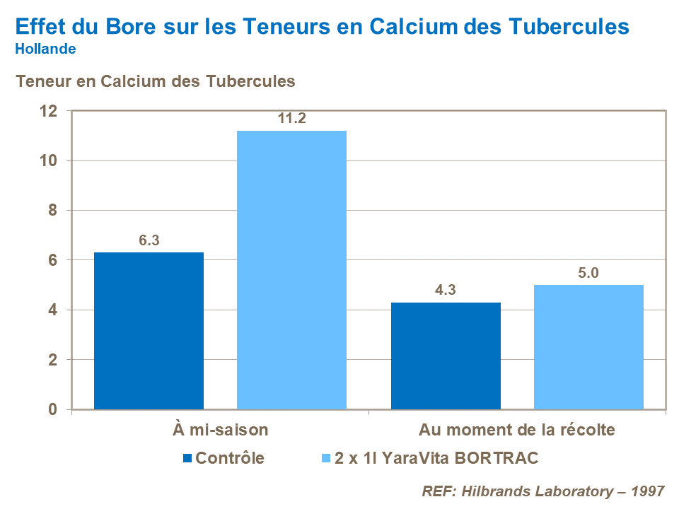 skin finish_effect of B on tuber Ca.png