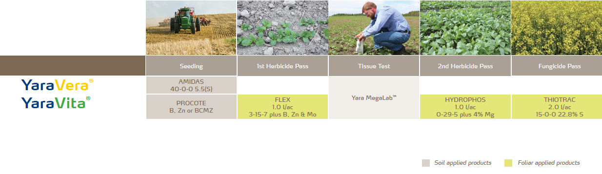 Canola crop nutrition program