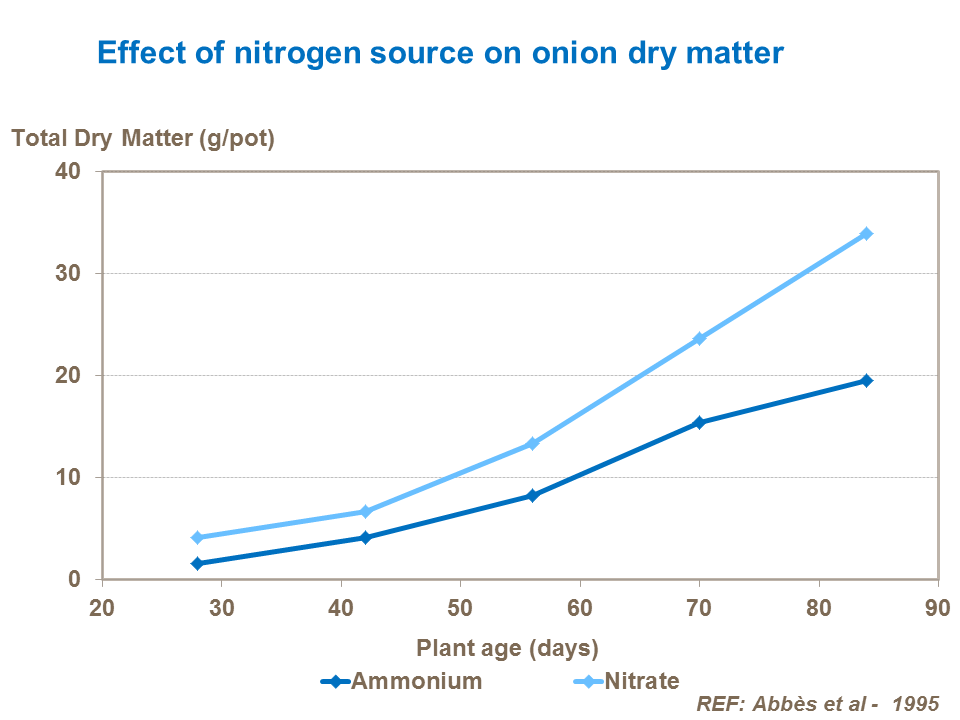 Effect of nitrogen source on onion dry matter