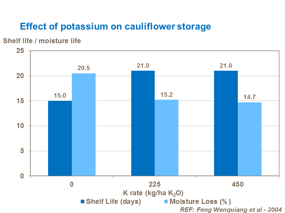 Effect of potassium on cauliflower storage