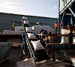 Loading fertiliser bags
