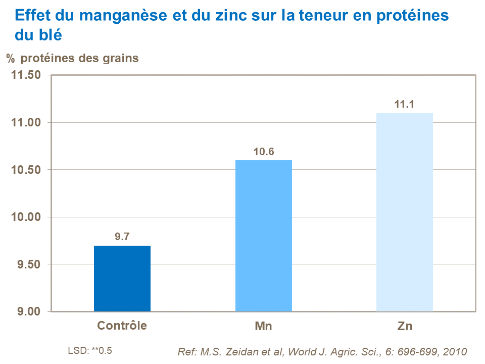 FR - effect of Mn and Zn on wheat protein content.png