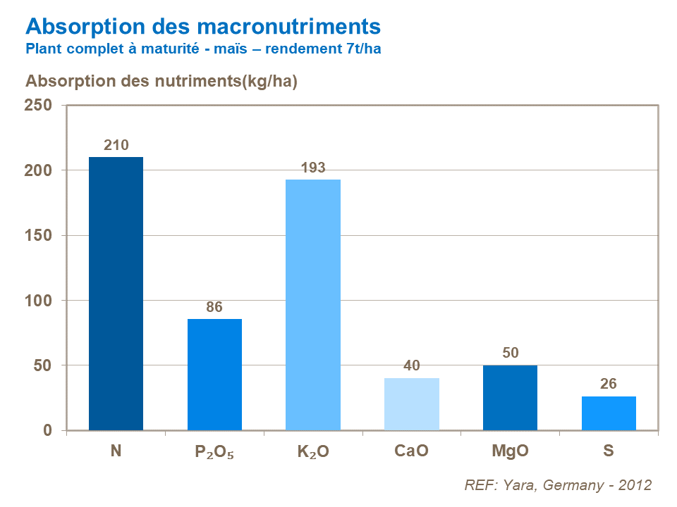 FR - corn macronutrient uptake complete plant at maturity.png