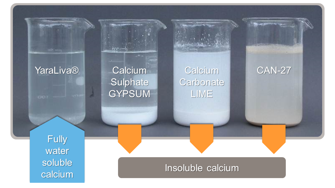 calcium sources and solubility.png