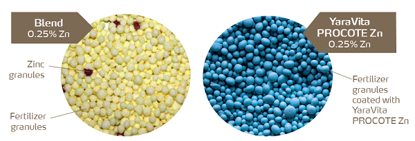 yaravita procote versus blends