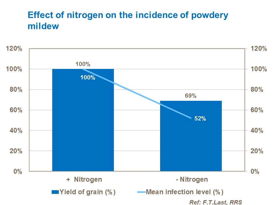 Effect of nitrogen on the incidence of powdery mildew