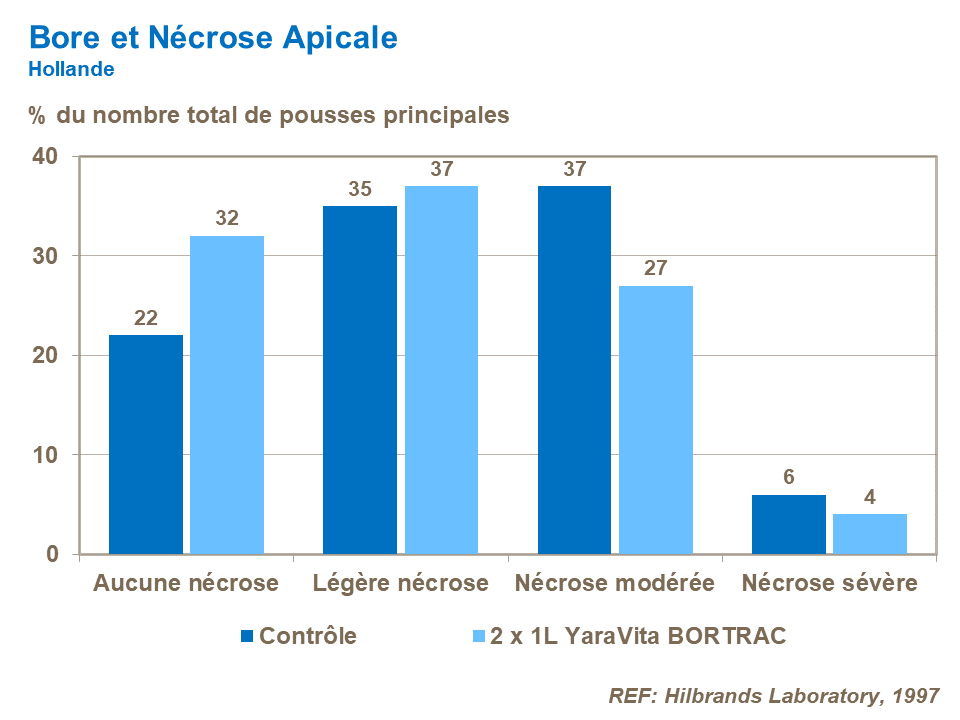 FR-boron and apical necrose.png