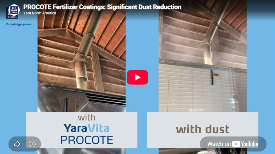 dust video placeholder